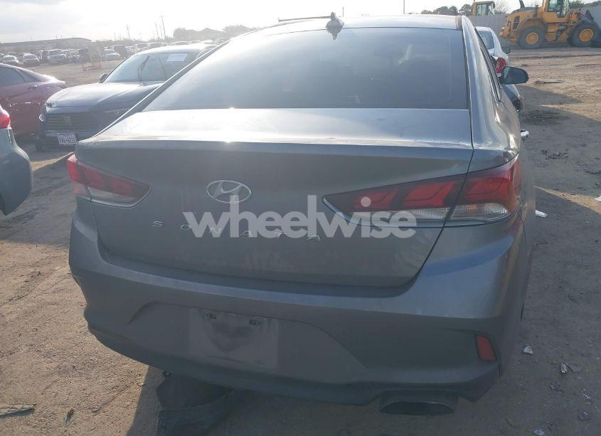 Photo 15 of 2019 Hyundai Sonata SEL (VIN 5NPE34AF6KH786870)