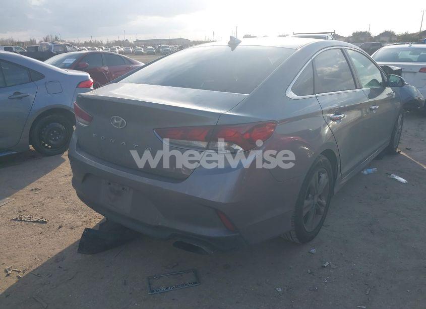 Photo 4 of 2019 Hyundai Sonata SEL (VIN 5NPE34AF6KH786870)