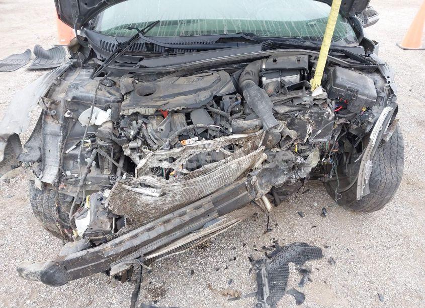 Photo 10 of 2019 Hyundai Sonata SEL (VIN 5NPE34AF6KH787596)