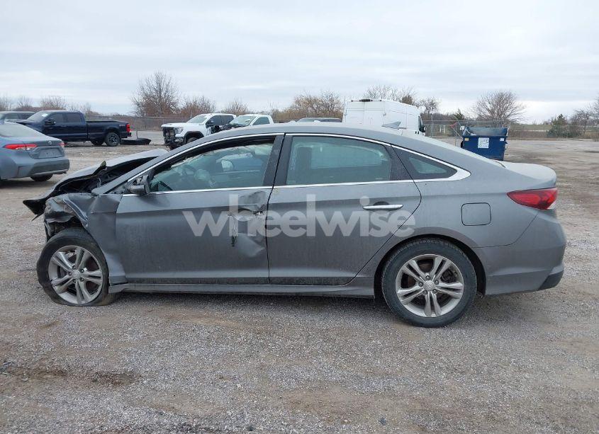 Photo 14 of 2019 Hyundai Sonata SEL (VIN 5NPE34AF6KH787596)