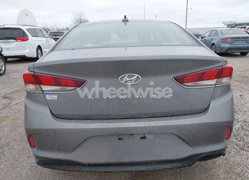 Photo 16 of 2019 Hyundai Sonata SEL (VIN 5NPE34AF6KH787596)