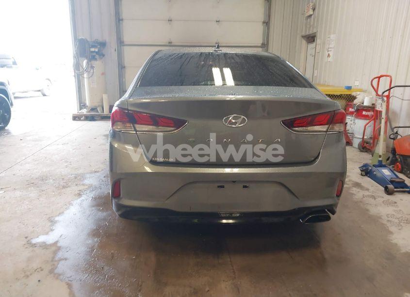 Photo 15 of 2019 Hyundai Sonata SEL (VIN 5NPE34AF6KH789705)