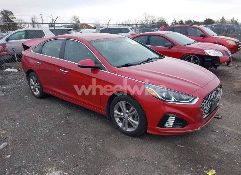 2019 Hyundai Sonata SEL (VIN 5NPE34AF6KH802601) main photo