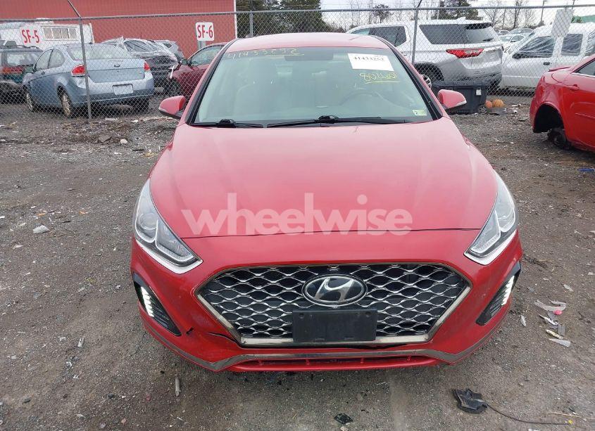 Photo 12 of 2019 Hyundai Sonata SEL (VIN 5NPE34AF6KH802601)