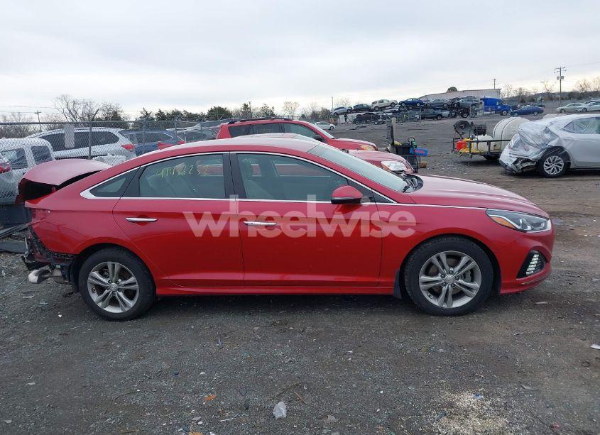 Photo 13 of 2019 Hyundai Sonata SEL (VIN 5NPE34AF6KH802601)