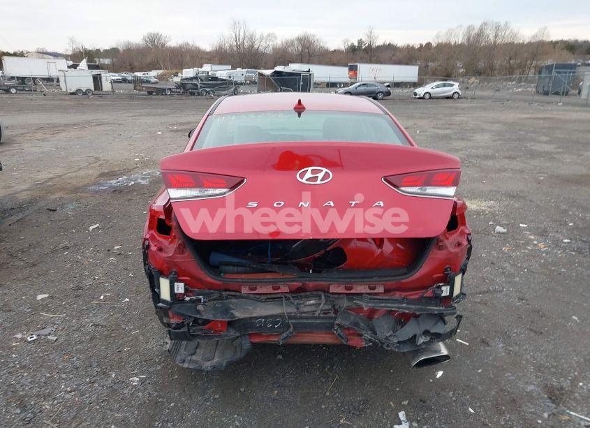 Photo 16 of 2019 Hyundai Sonata SEL (VIN 5NPE34AF6KH802601)