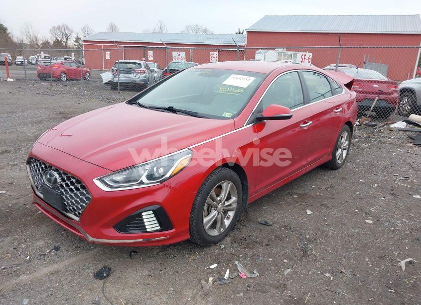 Photo 2 of 2019 Hyundai Sonata SEL (VIN 5NPE34AF6KH802601)