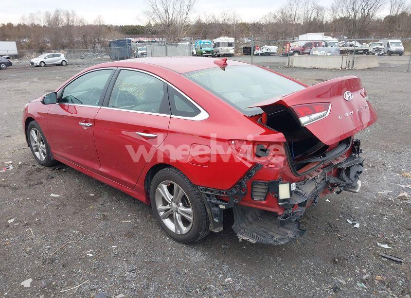 Photo 3 of 2019 Hyundai Sonata SEL (VIN 5NPE34AF6KH802601)