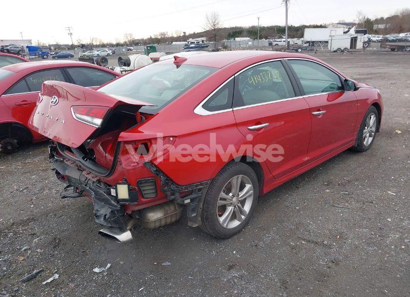 Photo 4 of 2019 Hyundai Sonata SEL (VIN 5NPE34AF6KH802601)