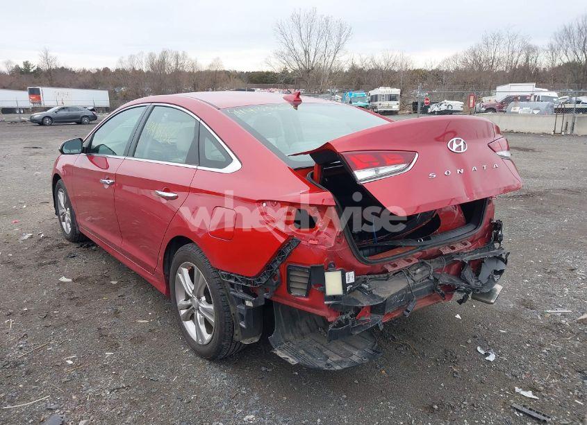 Photo 6 of 2019 Hyundai Sonata SEL (VIN 5NPE34AF6KH802601)