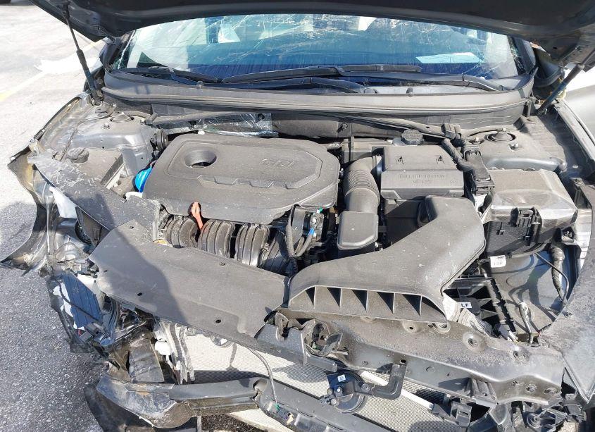 Photo 10 of 2019 Hyundai Sonata SEL (VIN 5NPE34AF6KH804672)