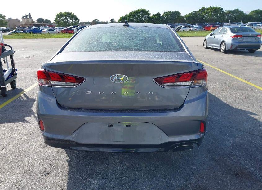 Photo 17 of 2019 Hyundai Sonata SEL (VIN 5NPE34AF6KH804672)