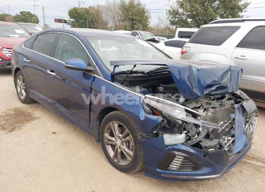 2019 Hyundai Sonata SEL (VIN 5NPE34AF6KH809063) main photo