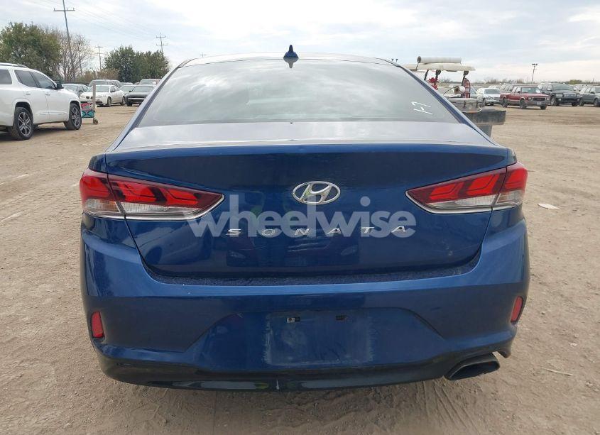 Photo 16 of 2019 Hyundai Sonata SEL (VIN 5NPE34AF6KH809063)