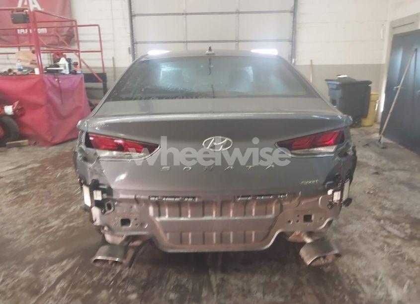 Photo 17 of 2019 Hyundai Sonata SPORT (VIN 5NPE34AF6KH816918)