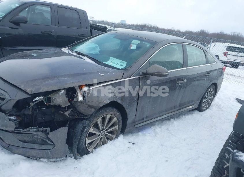 Photo 14 of 2017 Hyundai Sonata SPORT (VIN 5NPE34AF7HH521352)