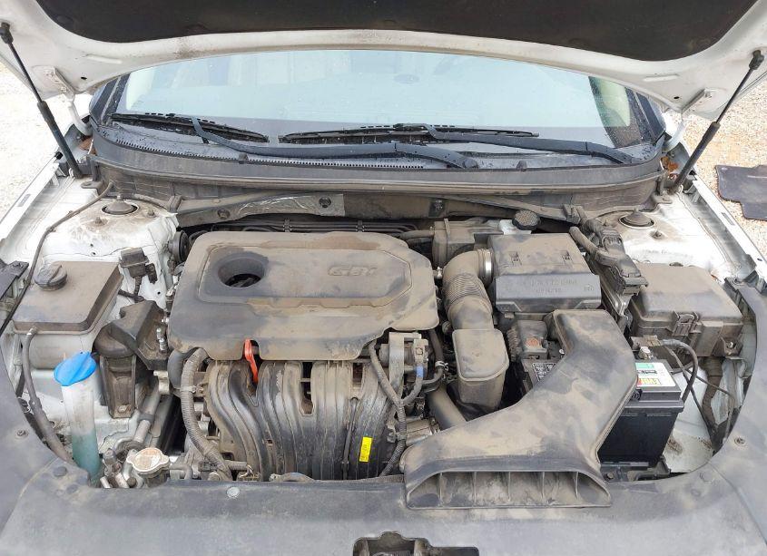 Photo 10 of 2018 Hyundai Sonata SEL (VIN 5NPE34AF7JH657745)