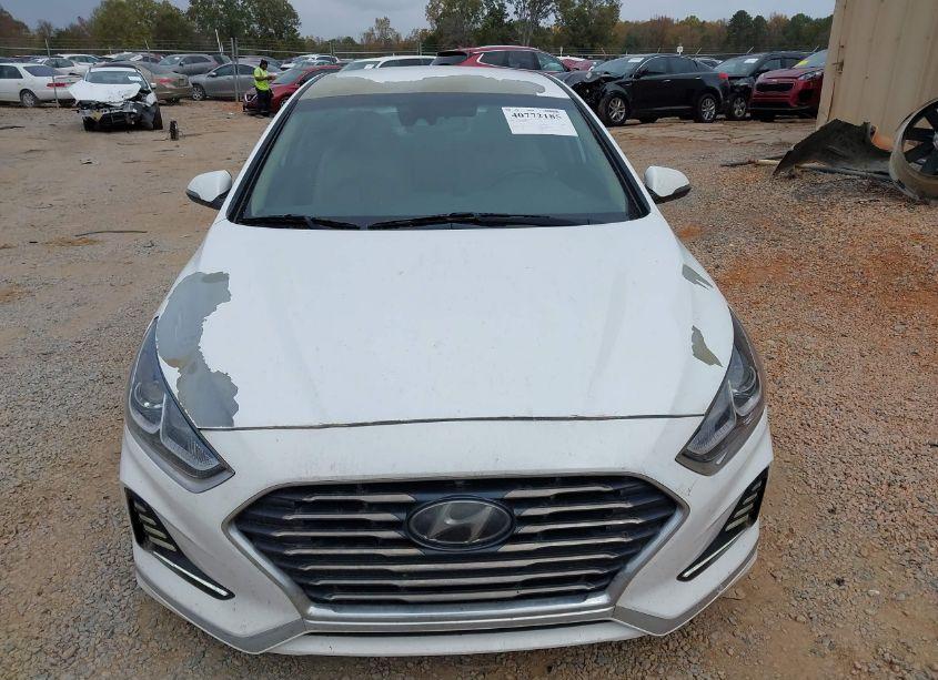Photo 12 of 2018 Hyundai Sonata SEL (VIN 5NPE34AF7JH657745)