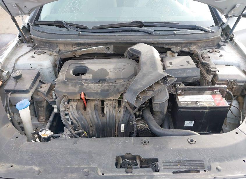 Photo 10 of 2019 Hyundai Sonata SEL (VIN 5NPE34AF7KH744143)