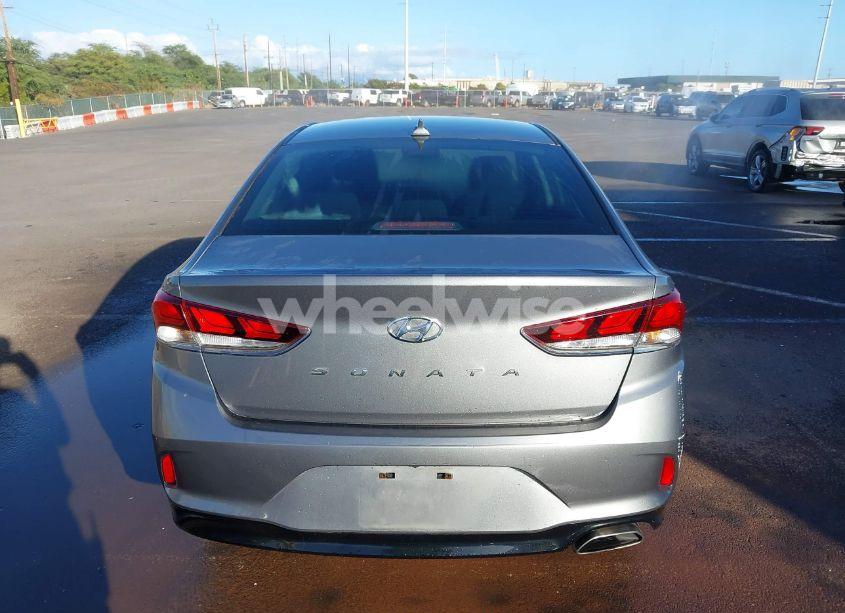 Photo 17 of 2019 Hyundai Sonata SEL (VIN 5NPE34AF7KH751755)