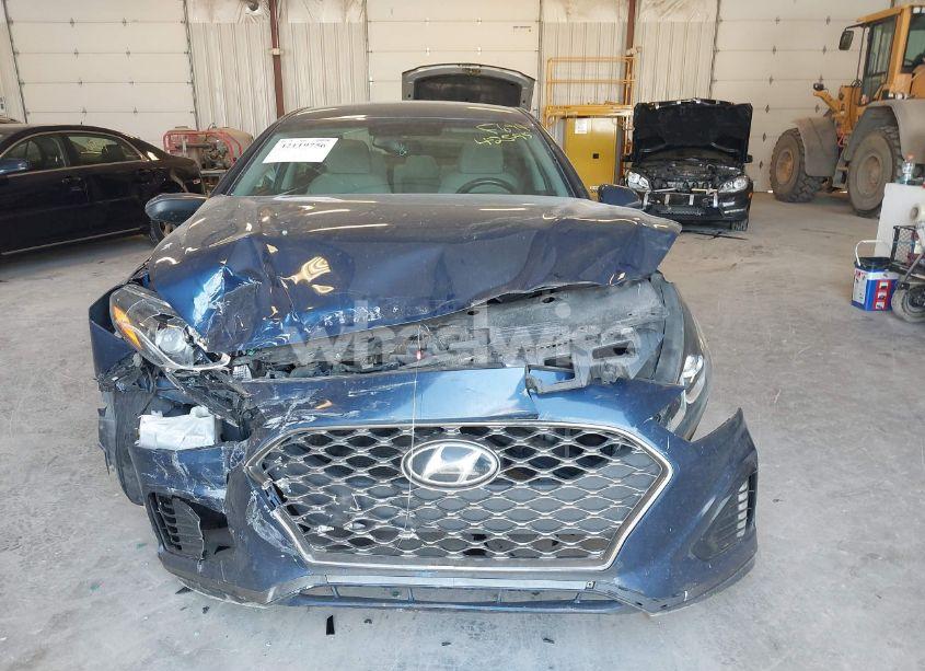 Photo 12 of 2019 Hyundai Sonata SEL (VIN 5NPE34AF7KH772590)