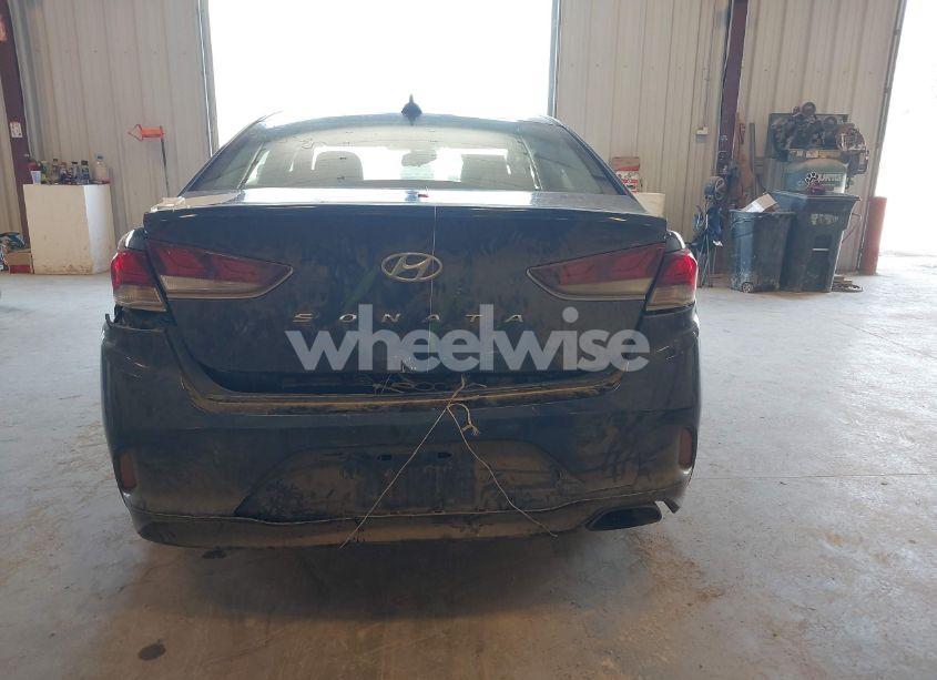 Photo 16 of 2019 Hyundai Sonata SEL (VIN 5NPE34AF7KH772590)