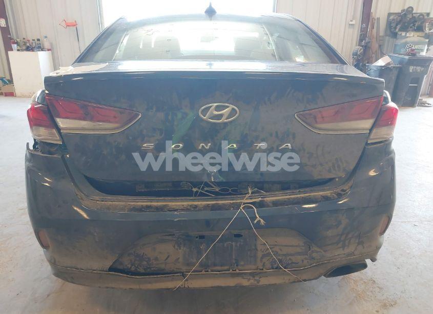 Photo 6 of 2019 Hyundai Sonata SEL (VIN 5NPE34AF7KH772590)