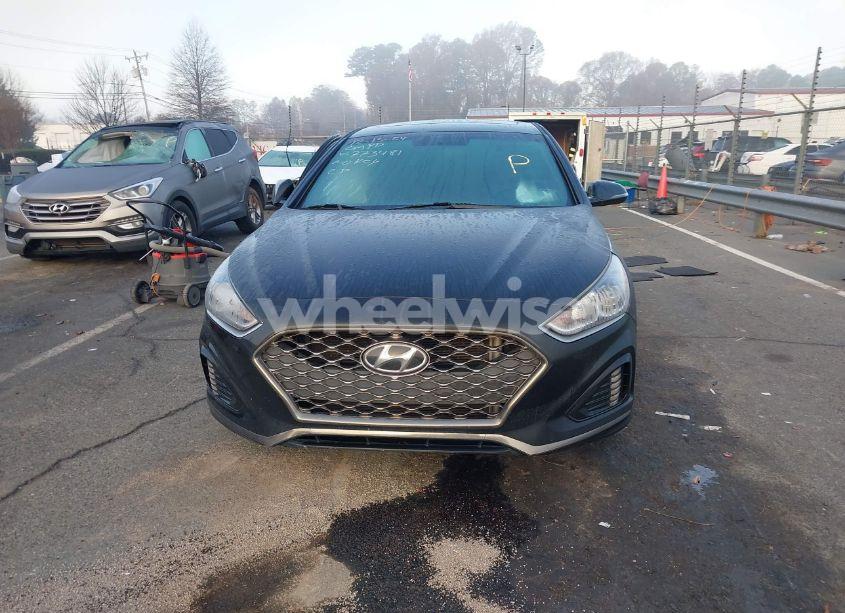 Photo 12 of 2019 Hyundai Sonata SPORT (VIN 5NPE34AF7KH773481)