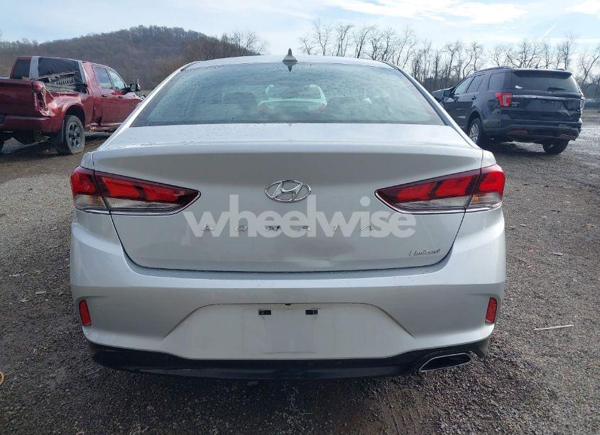 Photo 17 of 2019 Hyundai Sonata LIMITED (VIN 5NPE34AF7KH775439)