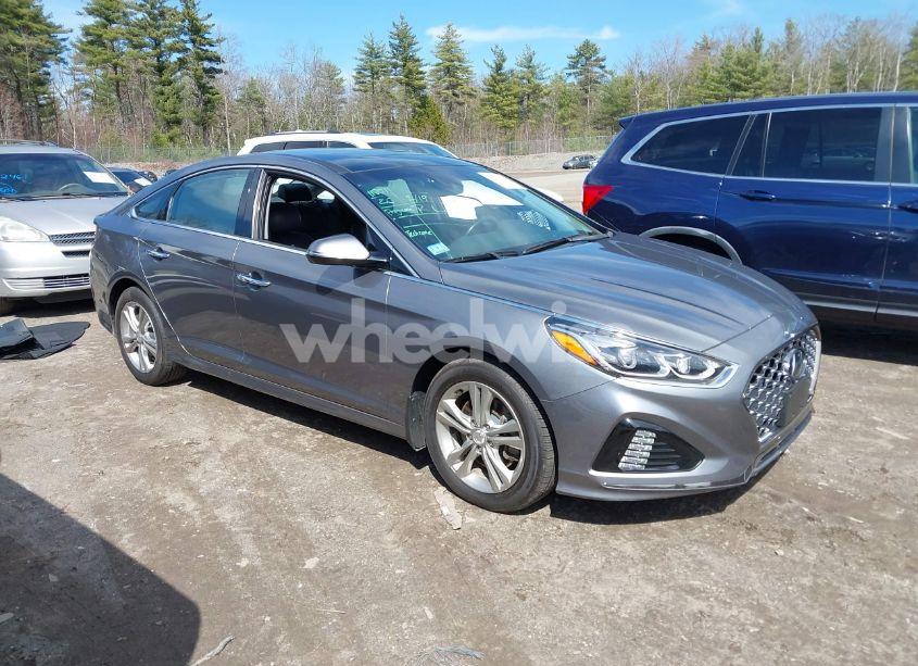 2019 Hyundai Sonata LIMITED (VIN 5NPE34AF7KH781838) main photo