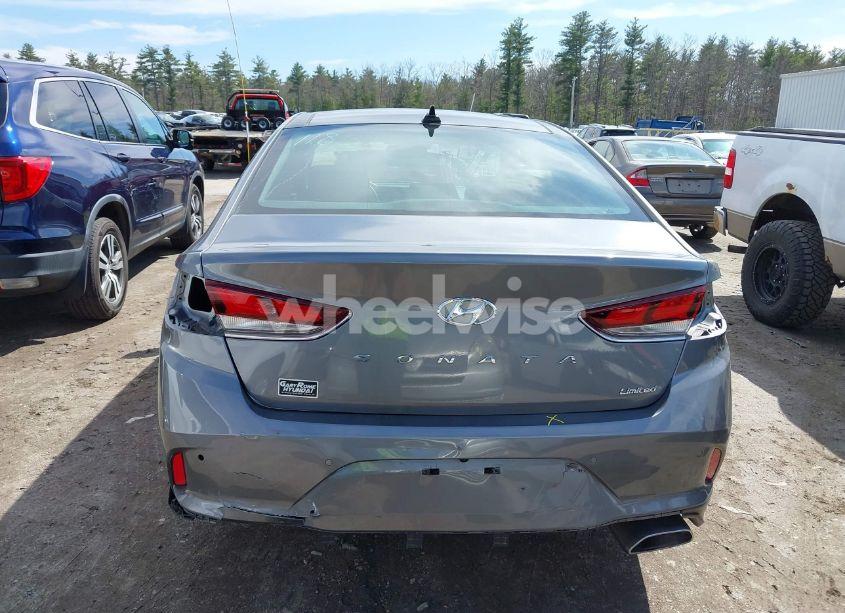 Photo 16 of 2019 Hyundai Sonata LIMITED (VIN 5NPE34AF7KH781838)