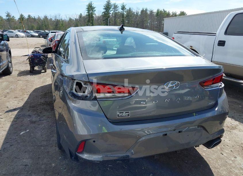 Photo 6 of 2019 Hyundai Sonata LIMITED (VIN 5NPE34AF7KH781838)