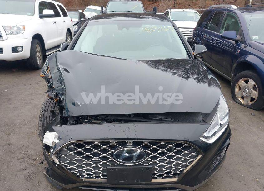 Photo 12 of 2019 Hyundai Sonata SEL (VIN 5NPE34AF7KH799840)