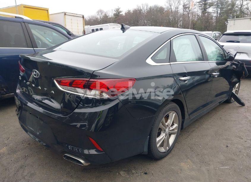 Photo 4 of 2019 Hyundai Sonata SEL (VIN 5NPE34AF7KH799840)