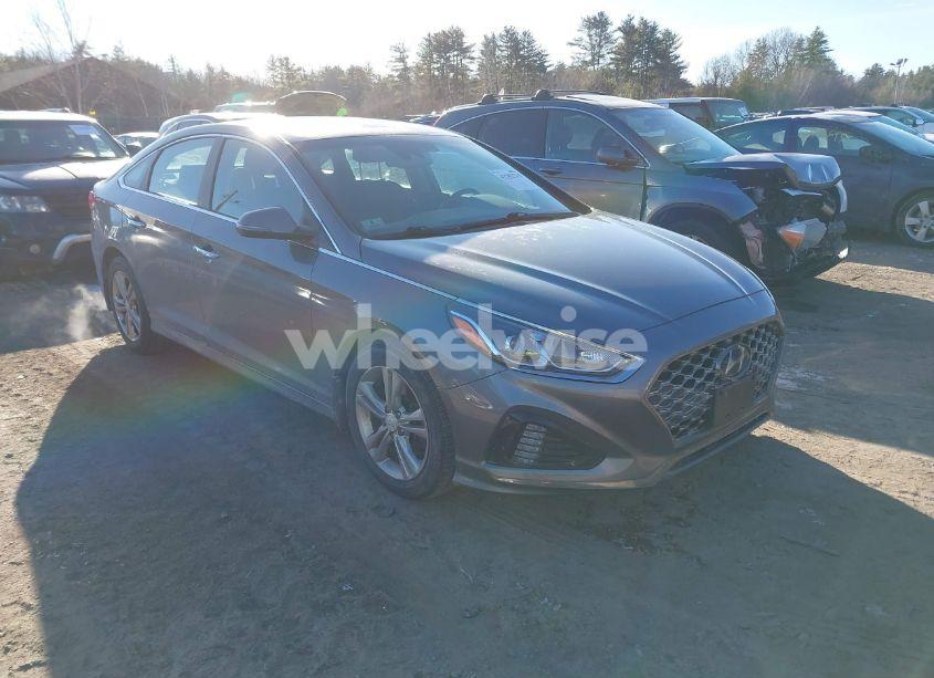 2019 Hyundai Sonata SEL (VIN 5NPE34AF7KH804907) main photo