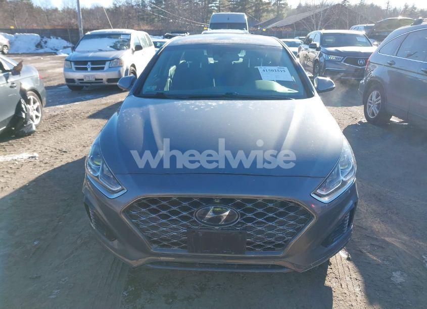 Photo 12 of 2019 Hyundai Sonata SEL (VIN 5NPE34AF7KH804907)