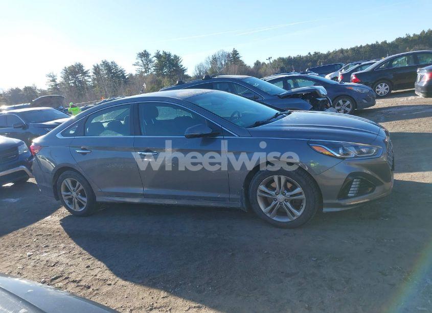 Photo 13 of 2019 Hyundai Sonata SEL (VIN 5NPE34AF7KH804907)