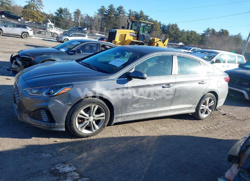 Photo 14 of 2019 Hyundai Sonata SEL (VIN 5NPE34AF7KH804907)