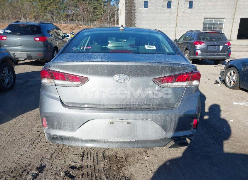 Photo 16 of 2019 Hyundai Sonata SEL (VIN 5NPE34AF7KH804907)