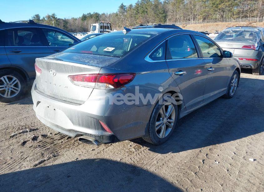 Photo 4 of 2019 Hyundai Sonata SEL (VIN 5NPE34AF7KH804907)