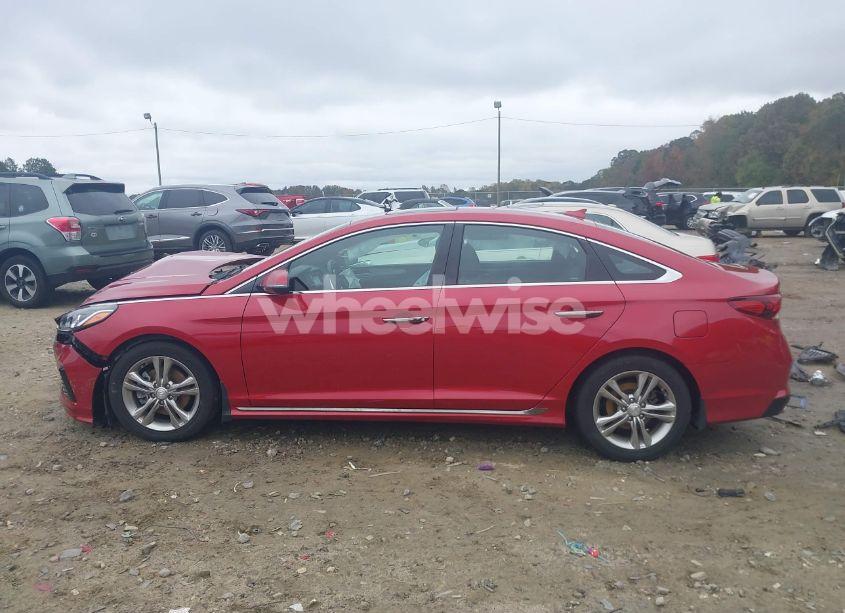 Photo 15 of 2019 Hyundai Sonata SPORT (VIN 5NPE34AF7KH808312)
