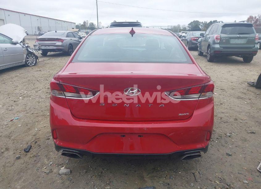 Photo 17 of 2019 Hyundai Sonata SPORT (VIN 5NPE34AF7KH808312)
