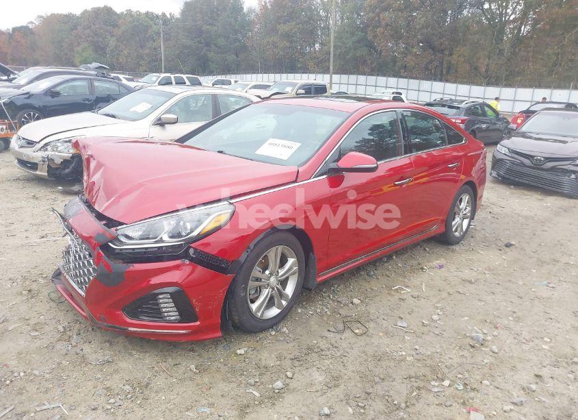 Photo 2 of 2019 Hyundai Sonata SPORT (VIN 5NPE34AF7KH808312)