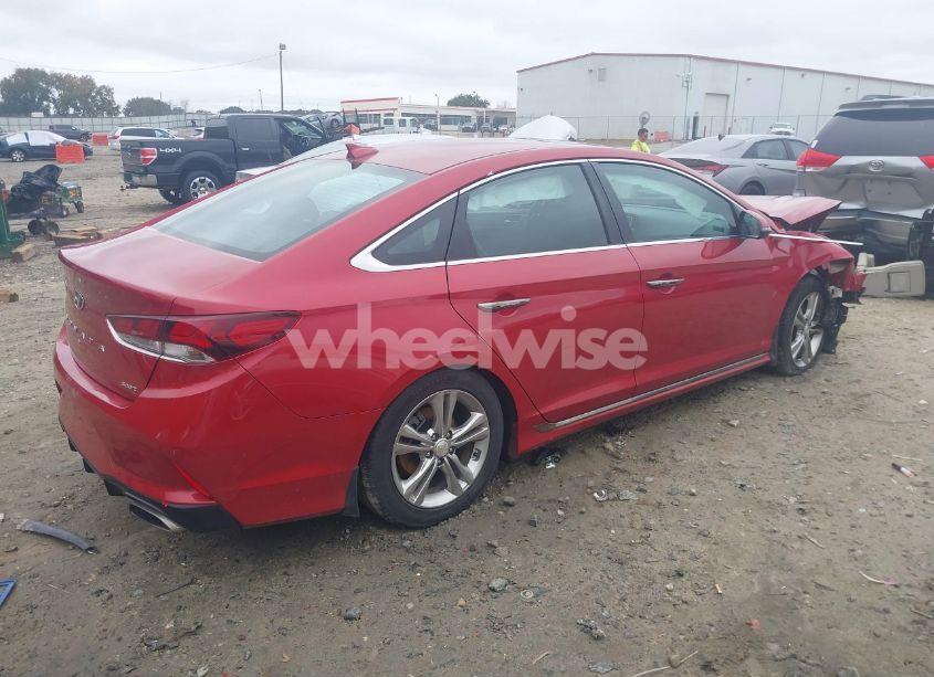 Photo 4 of 2019 Hyundai Sonata SPORT (VIN 5NPE34AF7KH808312)