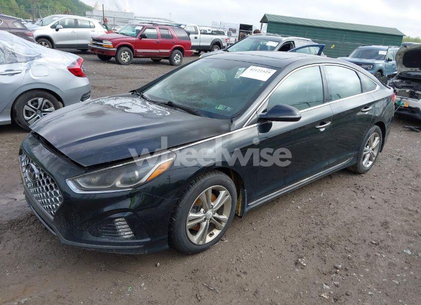 Photo 2 of 2019 Hyundai Sonata SPORT (VIN 5NPE34AF7KH818208)
