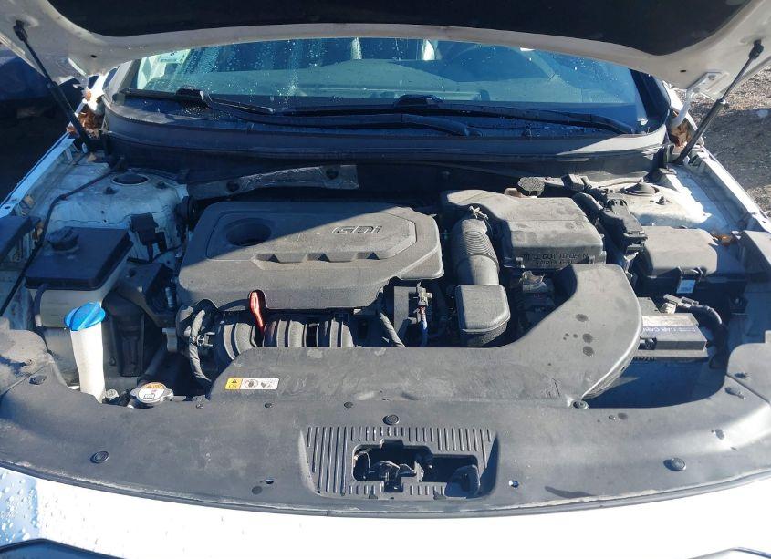 Photo 10 of 2017 Hyundai Sonata SPORT (VIN 5NPE34AF8HH484179)
