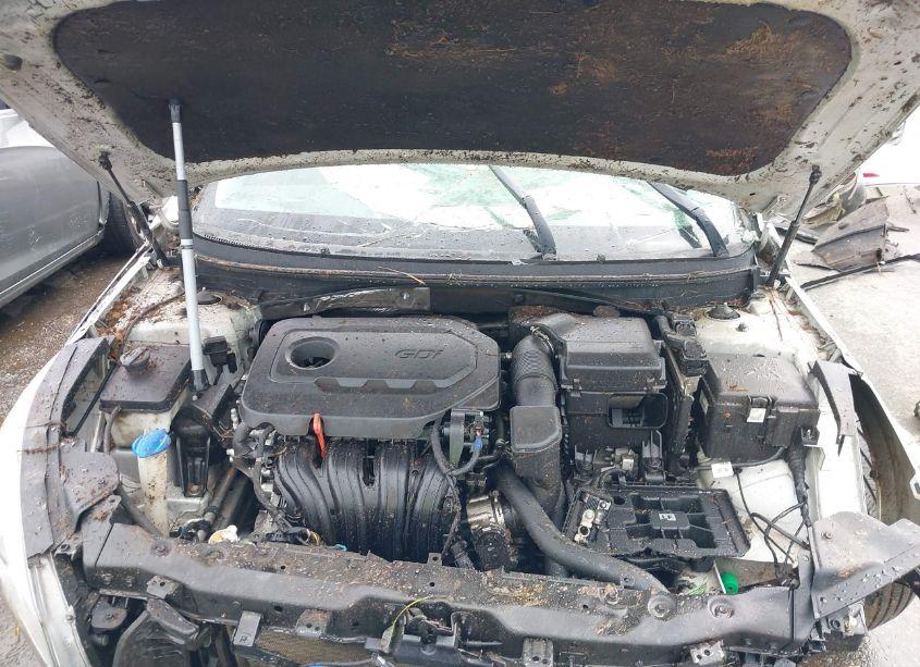 Photo 10 of 2017 Hyundai Sonata SPORT (VIN 5NPE34AF8HH549953)
