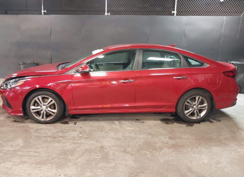 Photo 14 of 2018 Hyundai Sonata SEL (VIN 5NPE34AF8JH647399)