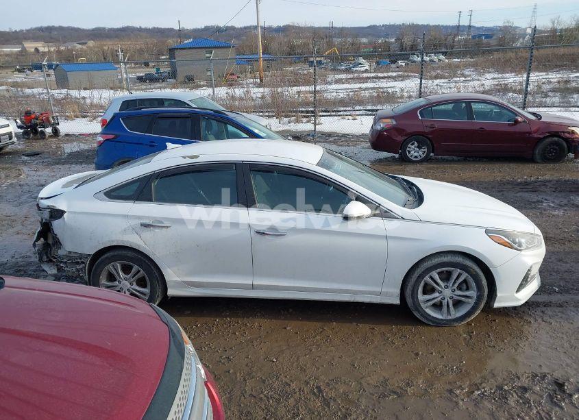 Photo 13 of 2018 Hyundai Sonata SEL (VIN 5NPE34AF8JH660895)