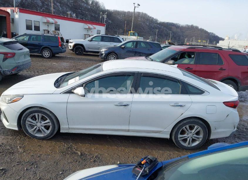 Photo 14 of 2018 Hyundai Sonata SEL (VIN 5NPE34AF8JH660895)